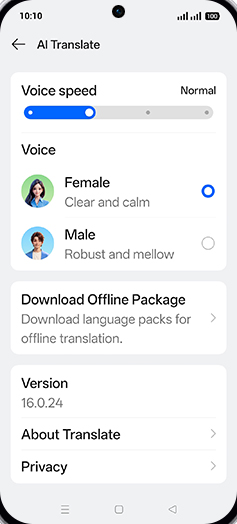 Step 5: Select Voice Female or Male.