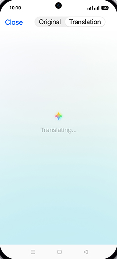 Step 9: Translating document.