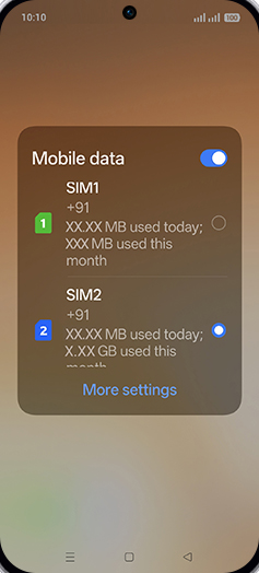 Step 3: Check data usage.
