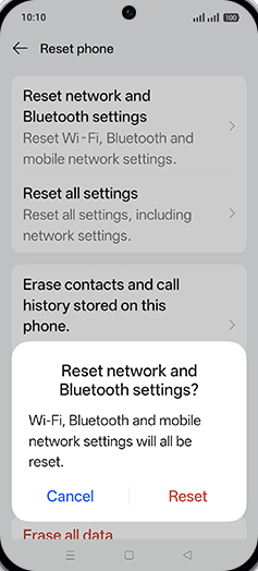 Step 7: Tap on Reset.