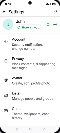 Step 5: Tap on Chats.