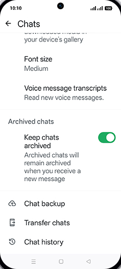 Step 6: Tap on Chat backup.