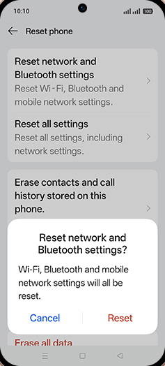 Step 7: Tap on Reset.