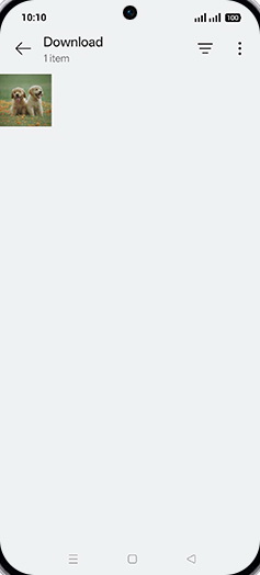 Step 5: Tap on desired Image.