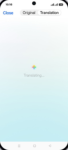 Step 9: Translating document.
