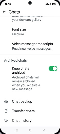 Step 6: Tap on Chat backup.