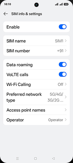 Step 7: Tap on Preferred network type.
