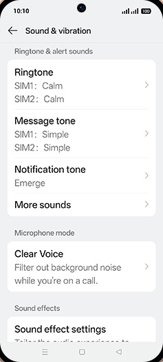 Step 4: Tap on Clear Voice.