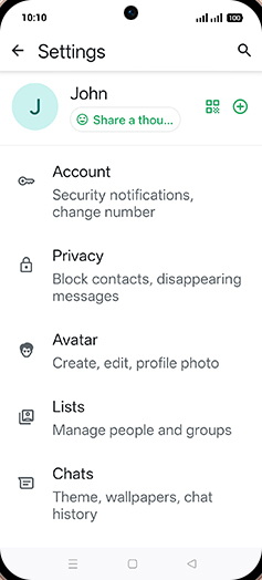 Step 5: Tap on Chats.