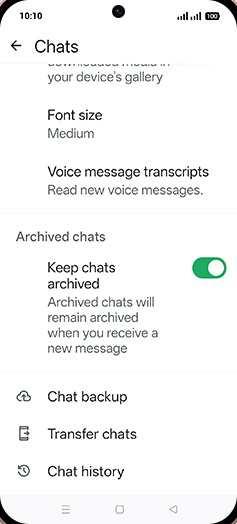 Step 6: Tap on Chat backup.