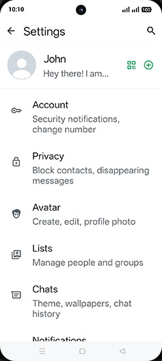 Step 5: Tap on Chats.