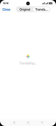 Step 9: Translating document.