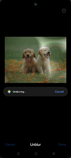 Step 11: Unblurring photo.