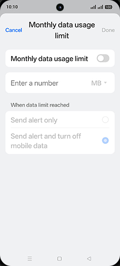 Step 15: Tap on Monthly data usage limit to turn ON.