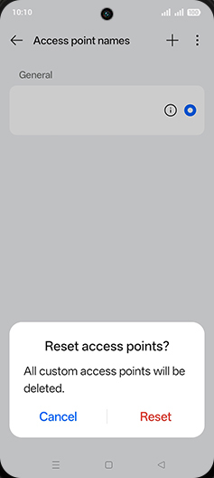 Step 8: Tap on Reset.