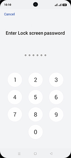 Step 7: Enter Lock screen password.