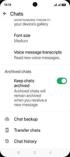 Step 6: Tap on Chat backup.