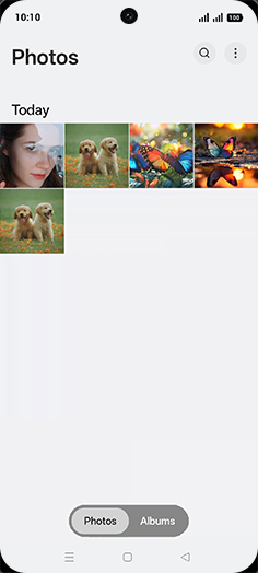 Step 3: Tap on Albums tab.