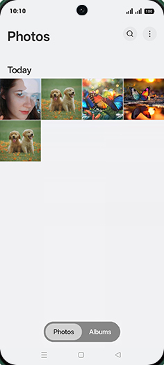 Step 3: Tap on Albums tab.