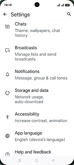 Step 5: Tap on Chats.