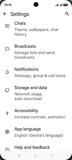 Step 5: Tap on Chats.