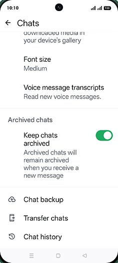 Step 6: Tap on Chat backup.