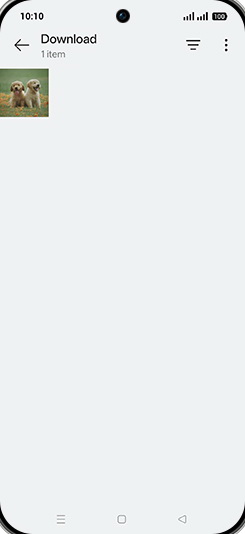 Step 5: Tap on desired Image.