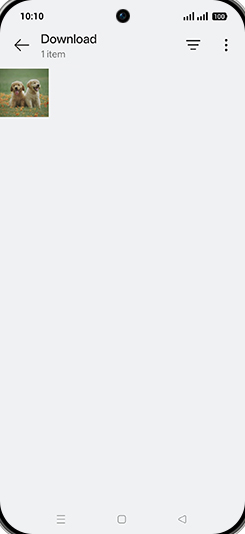 Step 5: Tap on desired Image.