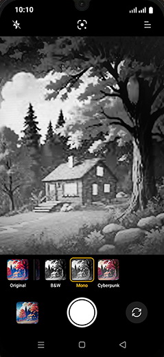 Step 5: Use Monochrome filter.