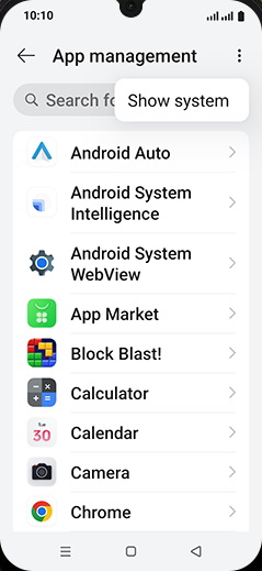 Step 6: Tap on Show system.