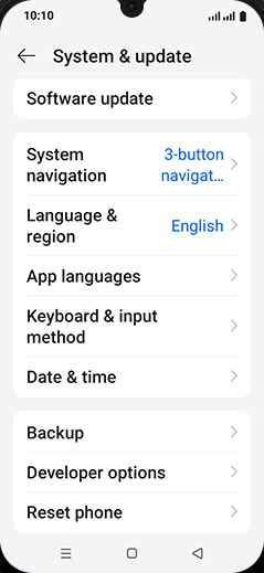 Step 4: Tap on Reset phone.