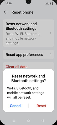 Step 6: Tap on Reset.