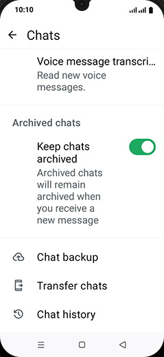 Step 6: Tap on Chat backup.