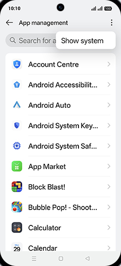 Step 6: Tap on Show system.