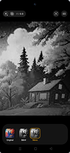 Step 5: Use Monochrome filter.