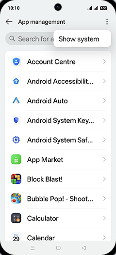 Step 6: Tap on Show system.