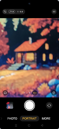 Step 4: Tap on depth of field.