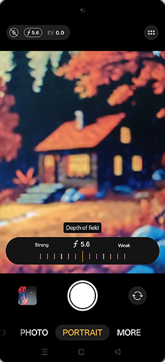 Step 5: Adjust depth of field.