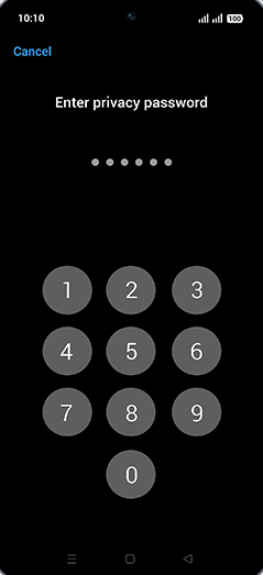 Step 5: Enter privacy password.