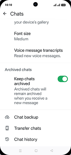 Step 6: Tap on Chat backup.