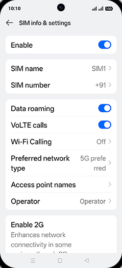 Step 7: Tap on Preferred network type.